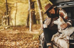 Fall Car Care Maintenance